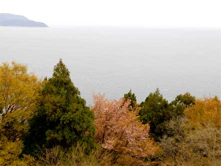 敦賀湾