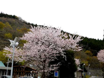 道の駅・河野