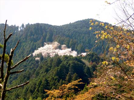 高城山から