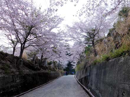 金峰神社