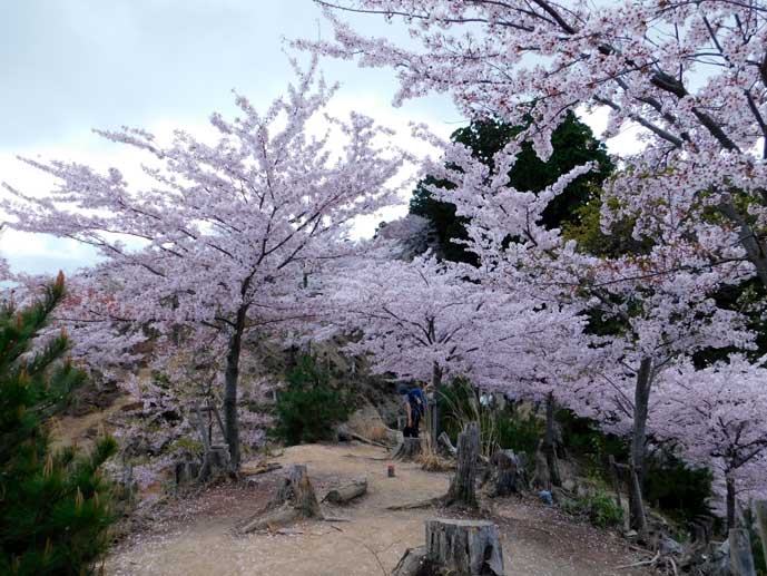 金峰神社