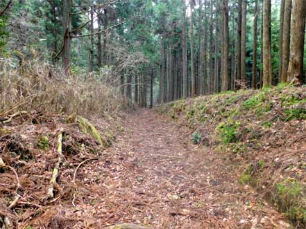 女人道（高野三山）巡り