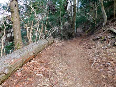 女人道（高野三山）巡り