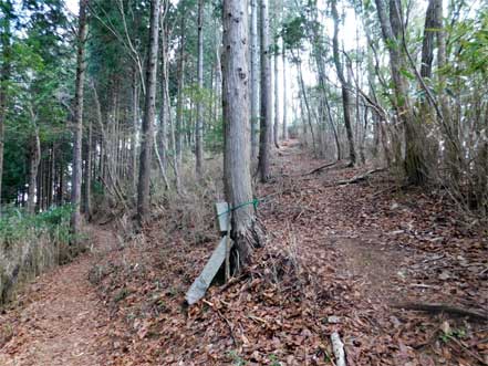 道標石　楊柳山