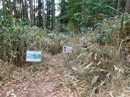 女人道（高野三山）巡り