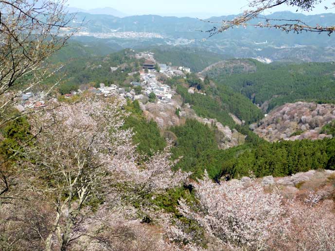 金峯山寺方向