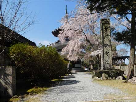 吉野朝宮祉