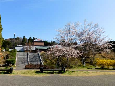 道の駅・針テラス